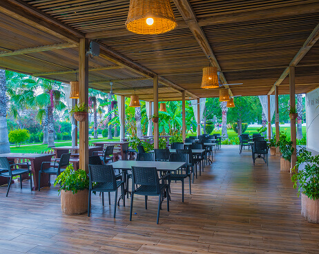 Süral Hotels Süral Resort Gastronomi Barlar Palm Beach Bar Galeri M 3