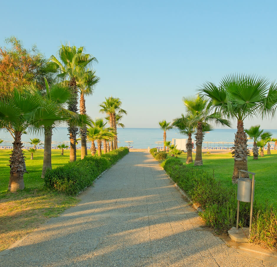 Süral Hotels Iletisim
