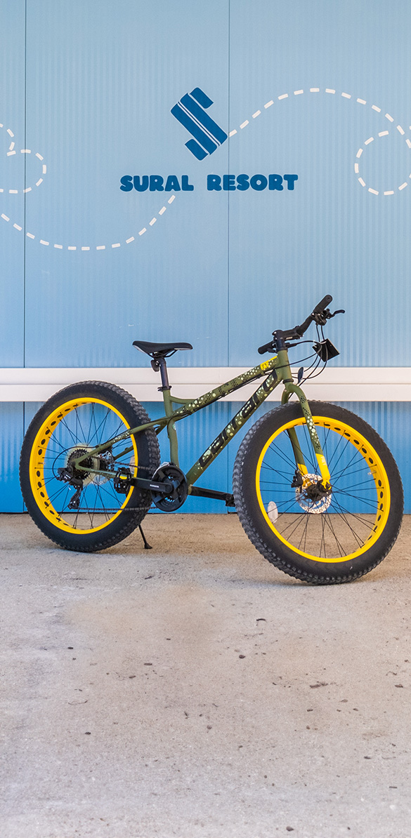 Bicycle