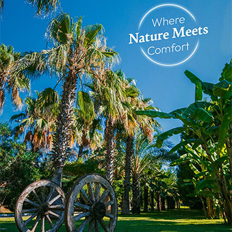 Sural Resort Instagram Card6