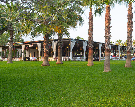 Süral Hotels Süral Resort Gastronomi Barlar Palm Beach Bar Galeri M 2