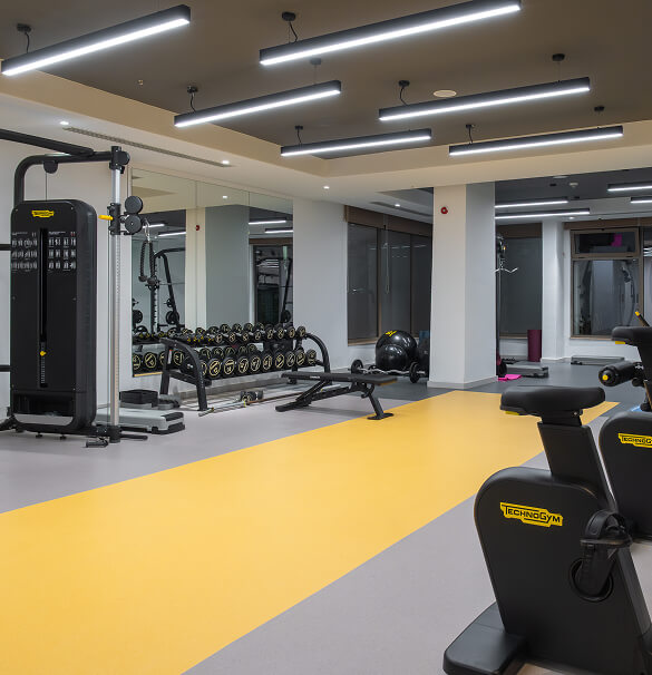 Süral Saray Aktivite Spor Ve Fitness Banner M