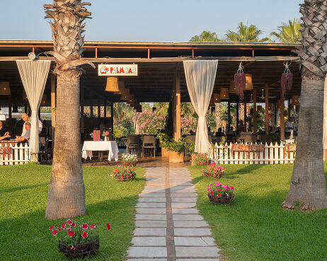 Süral Hotels Süral Resort Gastronomi Barlar Palm Beach Bar Galeri M