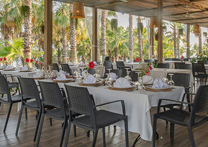 Sural Resort Gastronomi Balik Alakart Small Card M