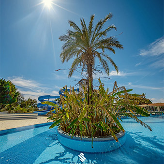 Sural Resort Instagram Card7