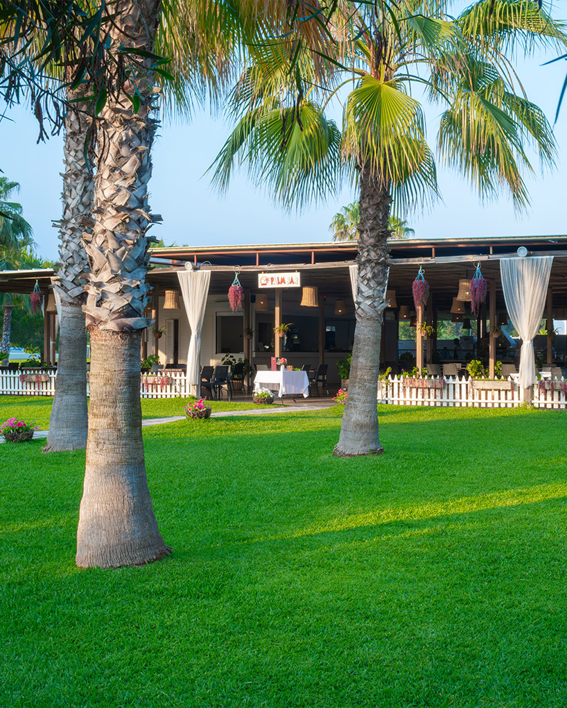Sural Resort Palm Beach Bar List Card
