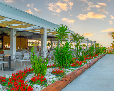 Süral Saray Gastronomi Azuro Beach Clup Galeri M 1