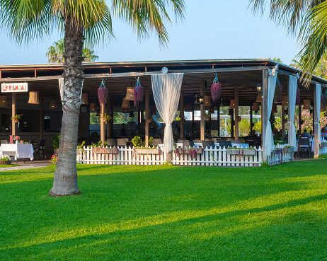 Süral Hotels Süral Resort Gastronomi Barlar Palm Beach Bar Galeri M 1