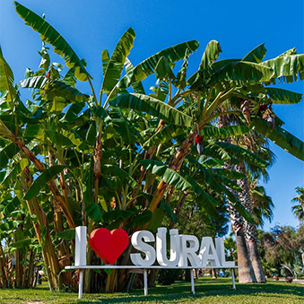 Sural Resort Instagram Card2