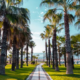 Sural Hotels Instagram 9